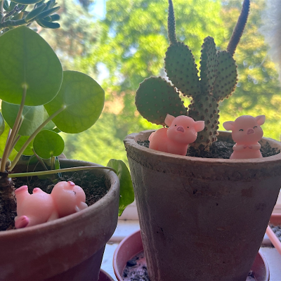 BOTANICAL BESTIES - PLANT COMPANIONS 3 LITTLE PIGGIES