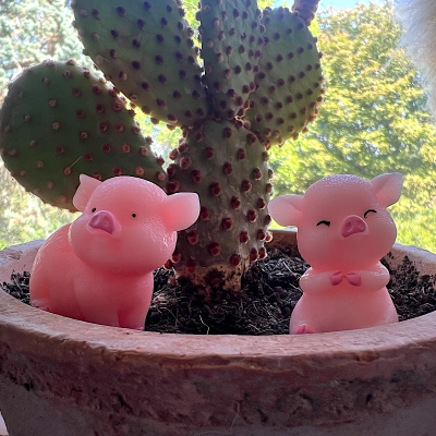 BOTANICAL BESTIES - PLANT COMPANIONS 3 LITTLE PIGGIES