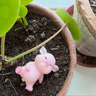 BOTANICAL BESTIES - PLANT COMPANIONS 3 LITTLE PIGGIES