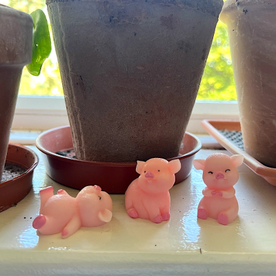 BOTANICAL BESTIES - PLANT COMPANIONS 3 LITTLE PIGGIES
