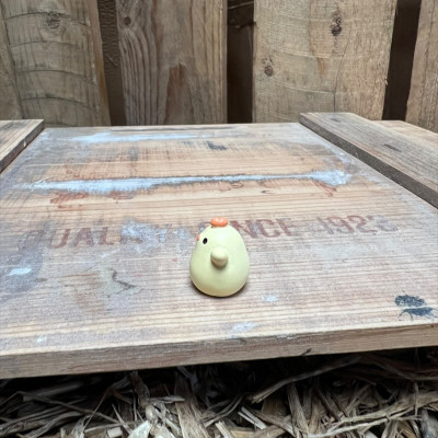 Chicken Chick BOTANICAL BESTIES PLANT COMPANIONS