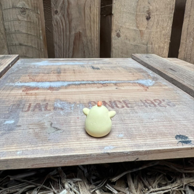 Chicken Chick BOTANICAL BESTIES PLANT COMPANIONS