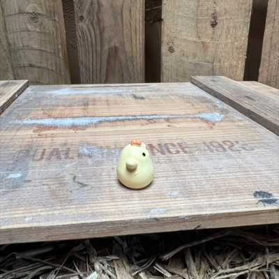 Chicken Chick BOTANICAL BESTIES PLANT COMPANIONS