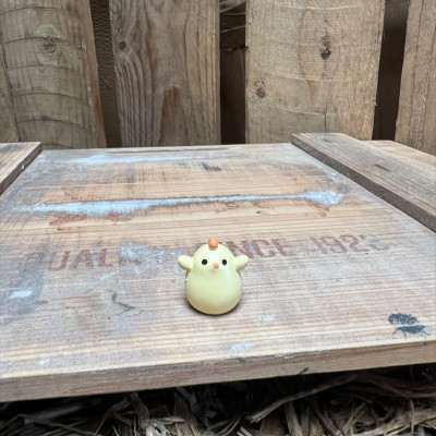 Chicken Chick BOTANICAL BESTIES PLANT COMPANIONS