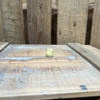 Chicken Chick BOTANICAL BESTIES PLANT COMPANIONS