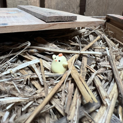 Chicken Chick BOTANICAL BESTIES PLANT COMPANIONS