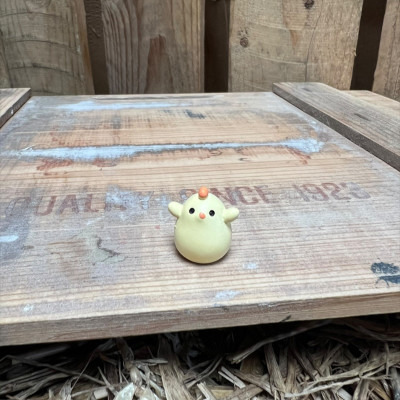 Chicken Chick BOTANICAL BESTIES PLANT COMPANIONS