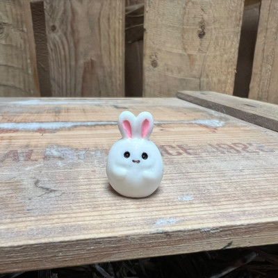Bunny BOTANICAL BESTIES PLANT COMPANIONS