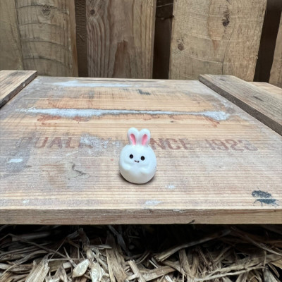 Bunny BOTANICAL BESTIES PLANT COMPANIONS