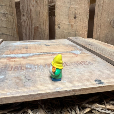 Green Gnome with Orange Flowers BOTANICAL BESTIES PLANT COMPANIONS